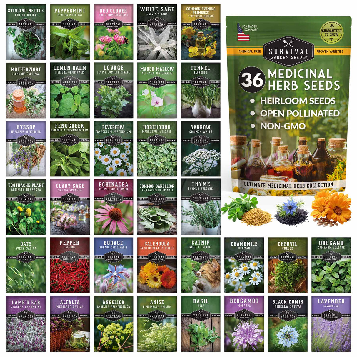 12 Herb Culinary Herb Seed Vault - 31+ Heirloom and Non GMO Herb Garden Seeds with High Germination - Seeds for Planting Indoor or Outdoor Herbs Garden - Arugula, Basil, Oregano, Sage, Thyme, & More