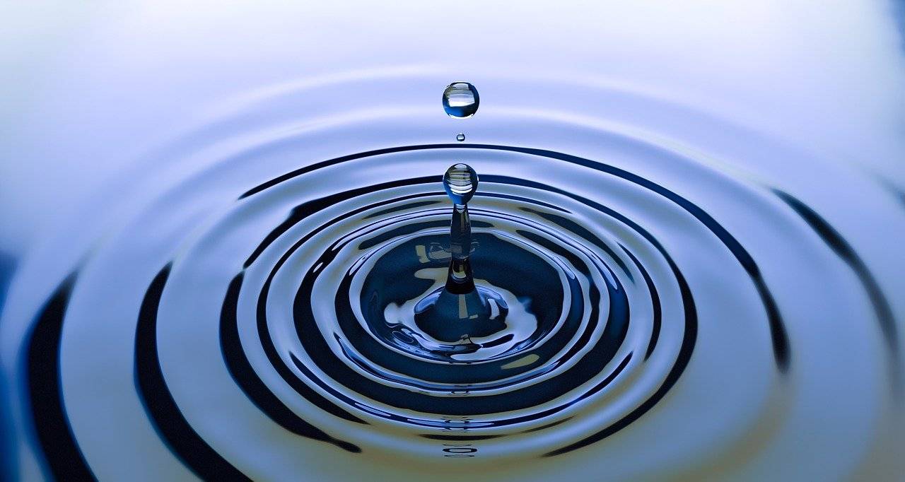 Ripple - Survivors City