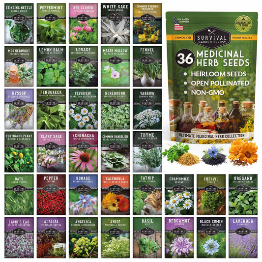 12 Herb Culinary Herb Seed Vault - 31+ Heirloom and Non GMO Herb Garden Seeds with High Germination - Seeds for Planting Indoor or Outdoor Herbs Garden - Arugula, Basil, Oregano, Sage, Thyme, & More
