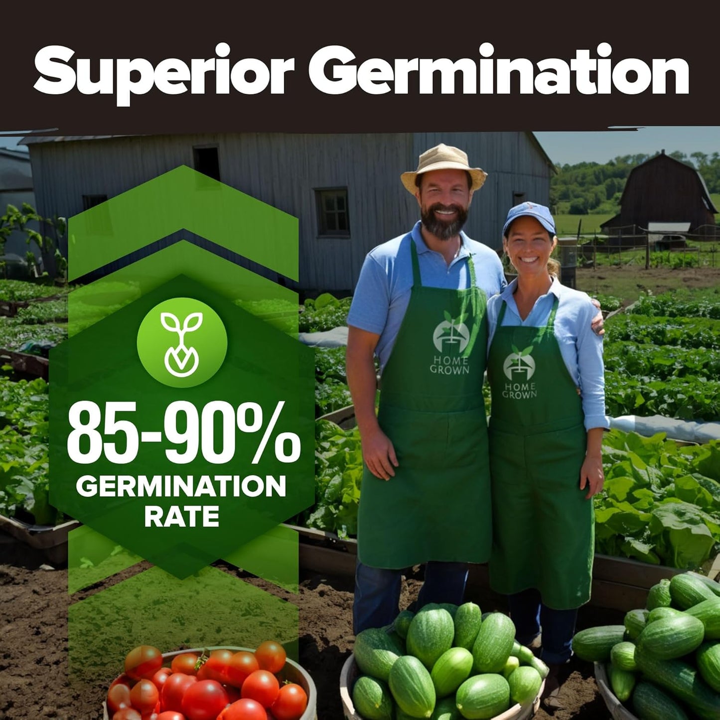 55 Vegetable Seeds Pack – 28,000+ 𝗨𝗦𝗔 Heirloom 𝗡𝗢𝗡-𝗚𝗠𝗢 Seeds for Planting – Spring, Fall, Winter Garden Kit – Survival Seed Vault for Preppers & Gardeners – Gift for Men & Women